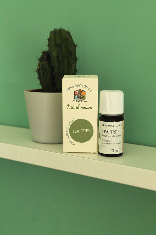 Olio Essenziale Tea Tree di Olfattiva (10 ml)